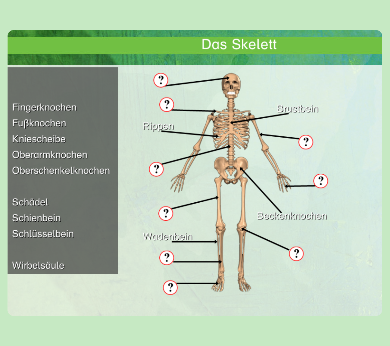 Screenshot LernMax Sachunterricht